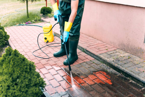 Best Roof Power Washing Services  in Bay City, TX