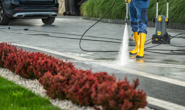 Best Affordable Pressure Washing  in Bay City, TX