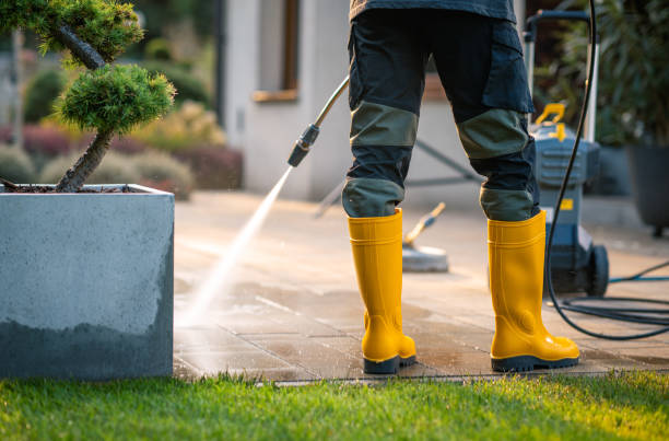 Best Affordable Pressure Washing  in Bay City, TX